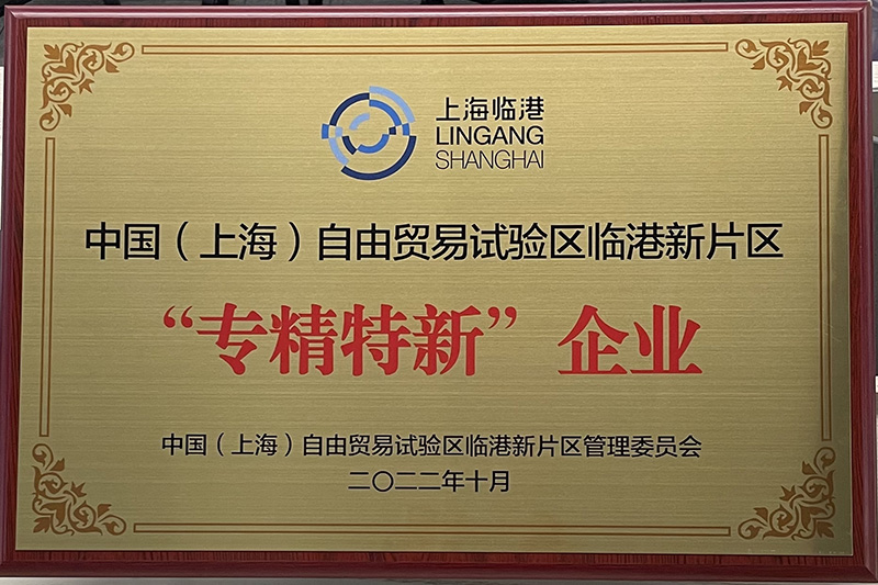 临港专精特新